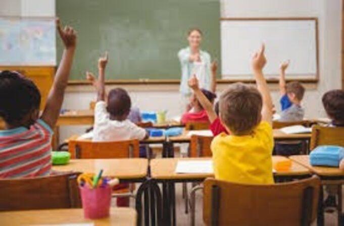 WhatsApp Image 2026-01-29 at 13.13.11 (1)